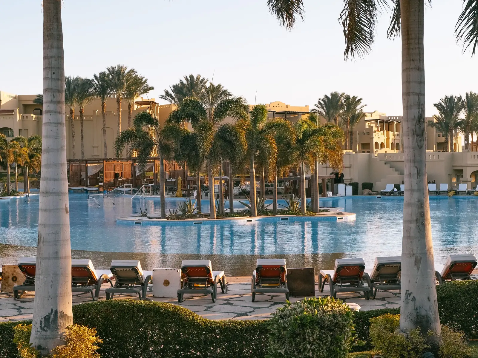 A hotel swimming pool with palm trees and sun loungers