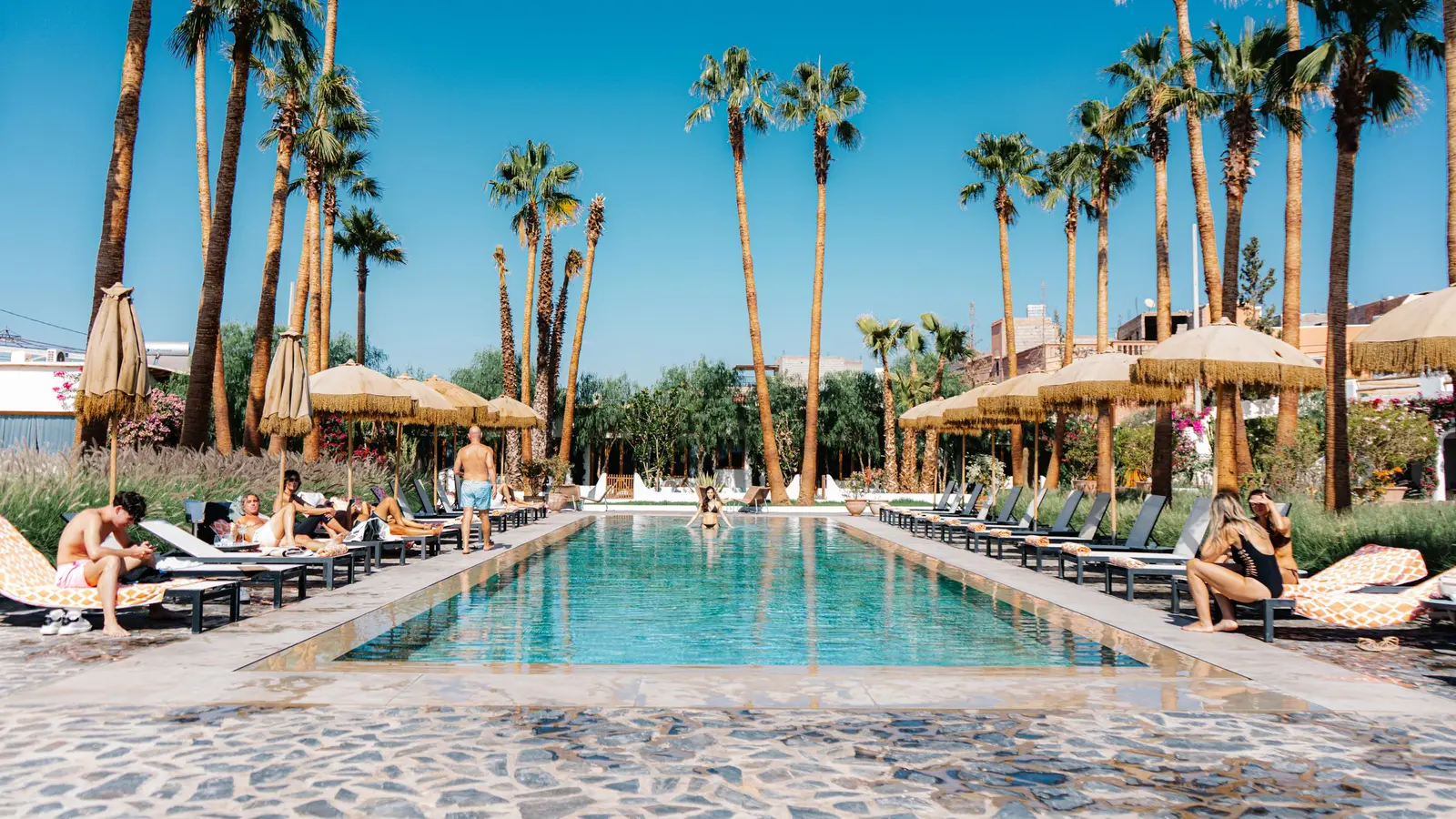 A resort pool lined with sun loungers and palm trees