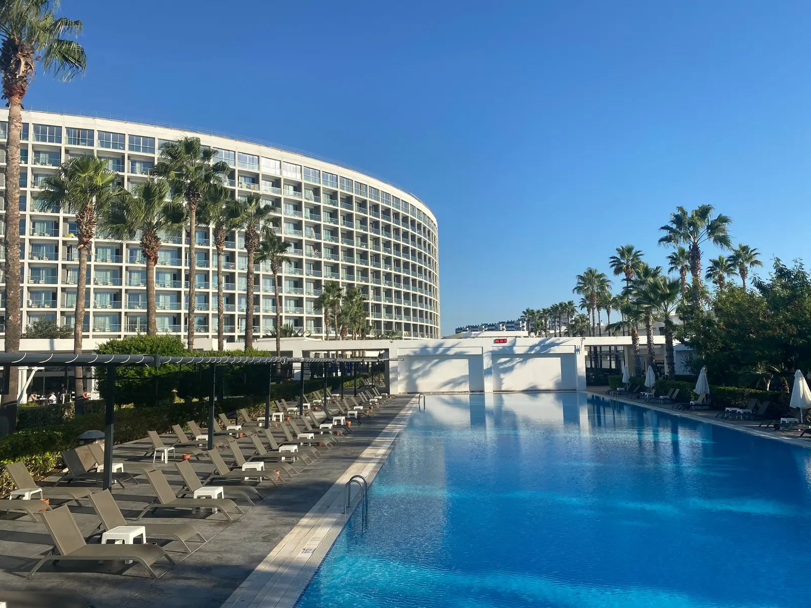 A hotel pool surrounded by palm trees and loungers
