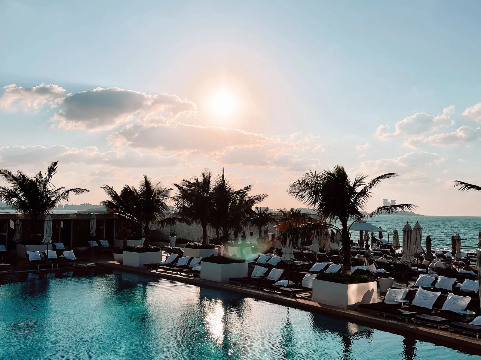 A hotel pool terrace with palm trees in the late afternoon